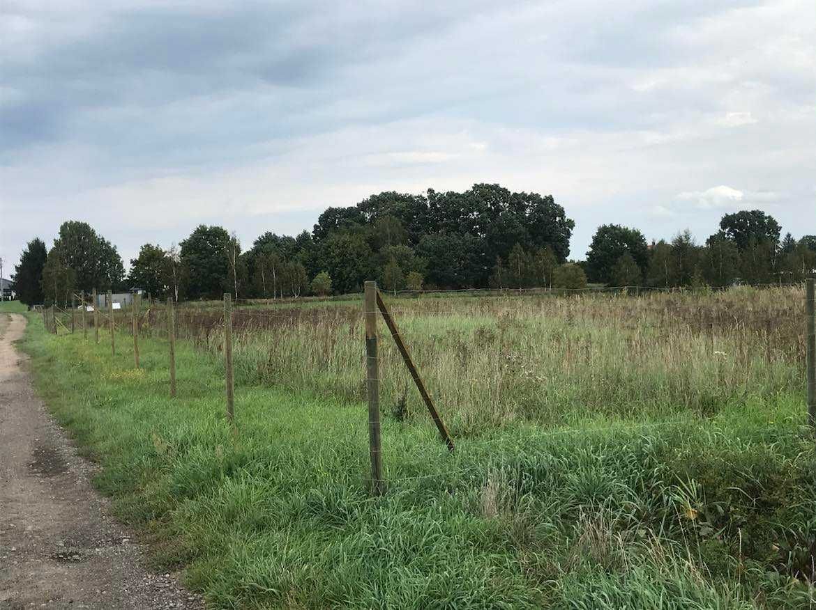 Działka budowlana Dobino. Zdjęcie 5