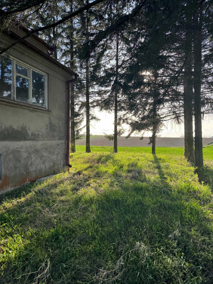 dom wolnostojący Alojzów. Zdjęcie 2