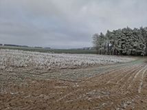 Działka budowlana Obkas. Zdjęcie 4