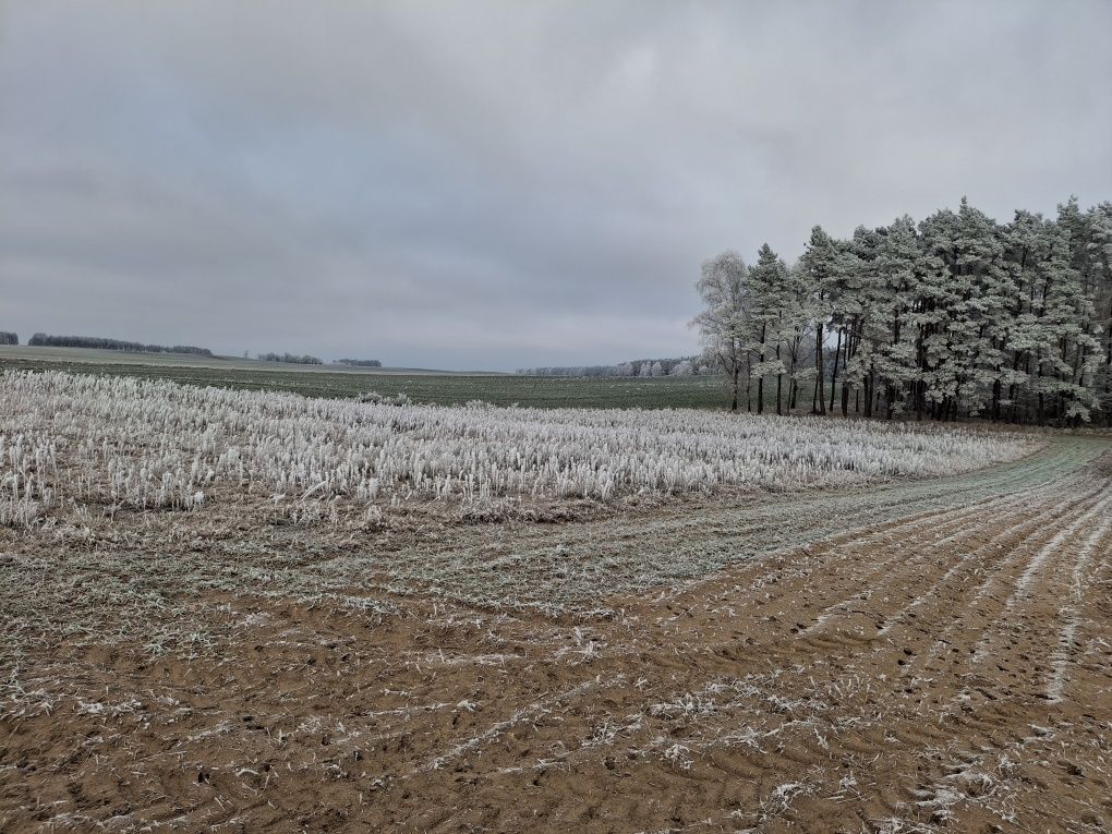 Działka budowlana Obkas. Zdjęcie 5