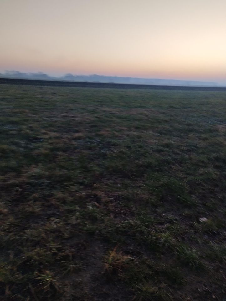 Działka rolno-budowlana Koziebrody. Zdjęcie 4