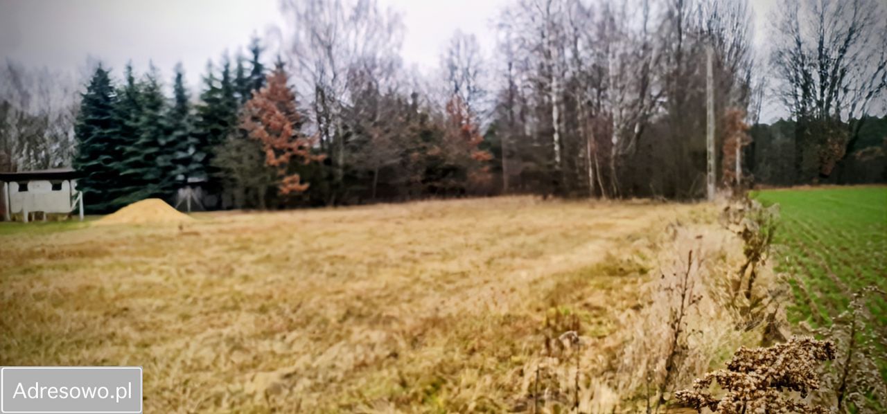 Działka budowlana Korabiewice