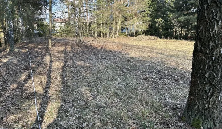 Działka budowlana Marynin, ul. Cienista