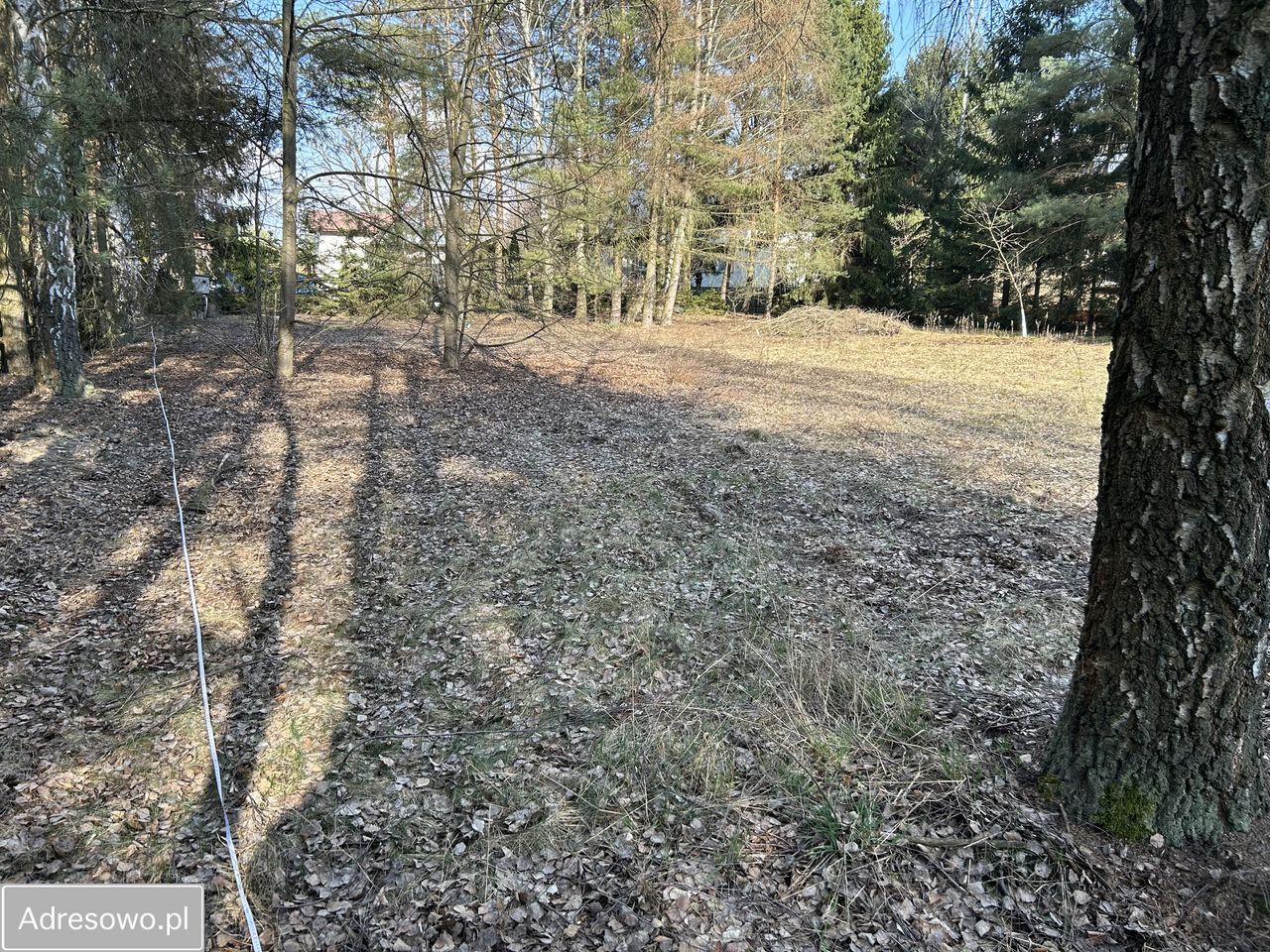 Działka budowlana Marynin, ul. Cienista. Zdjęcie 1