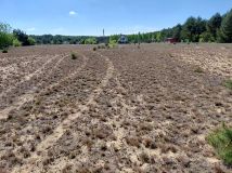 Działka rekreacyjna Goreń Duży, Kurkowa. Zdjęcie 3