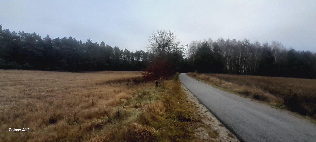 Działka rolna Martew. Zdjęcie 5