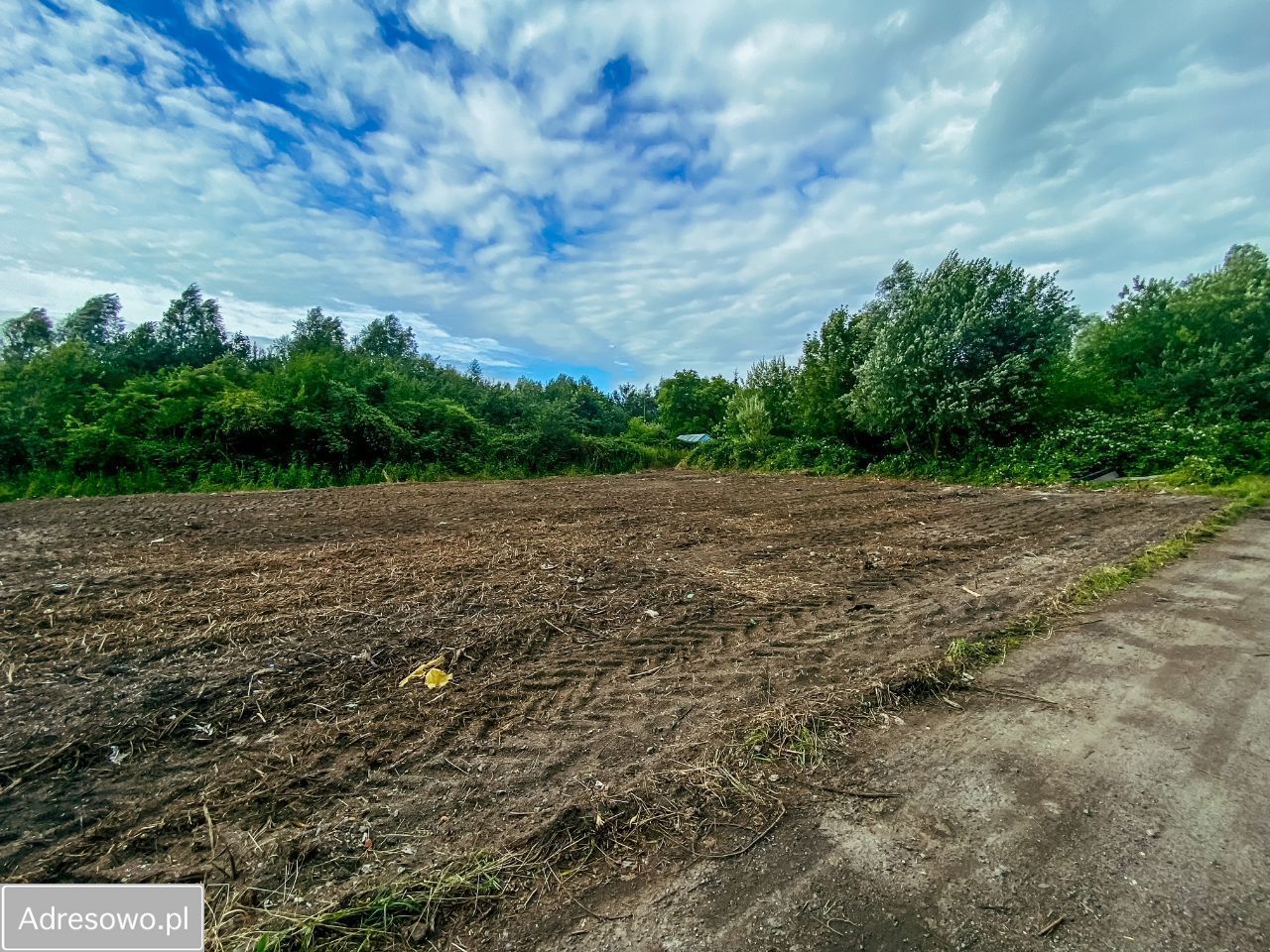 Działka budowlana Gdańsk Olszynka, ul. Bluszczowa