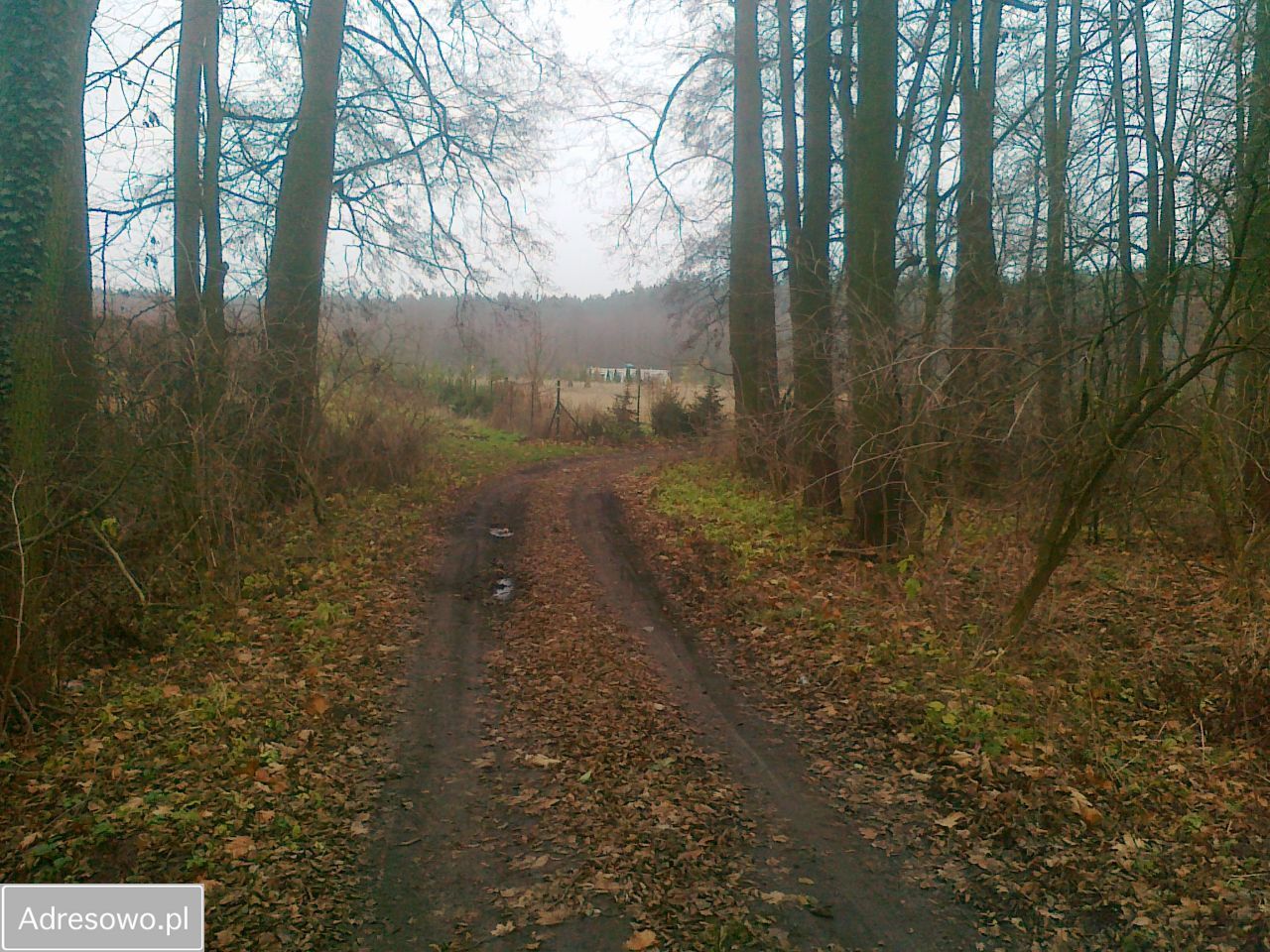 Działka rolna Chrzypsko Małe. Zdjęcie 9