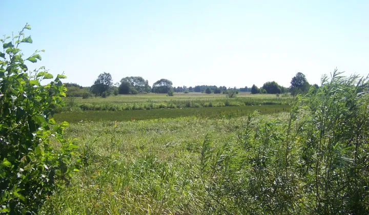 Działka rolna Morzyczyn Włościański