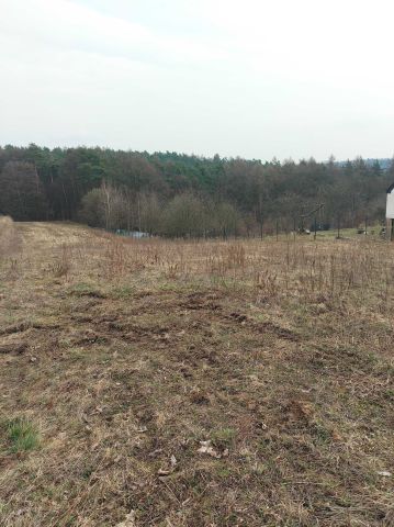 Działka budowlana Kleszczów. Zdjęcie 1