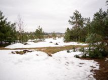 Działka inna Linia, ul. Długa. Zdjęcie 3