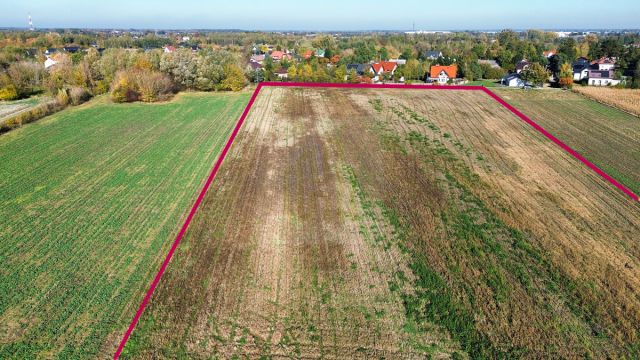 Działka budowlana Bieniewice, ul. Słowicza. Zdjęcie 6