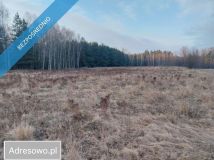 Działka rolna Marysin. Zdjęcie 2