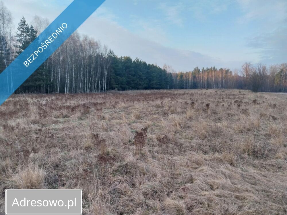 Działka rolna Marysin. Zdjęcie 3