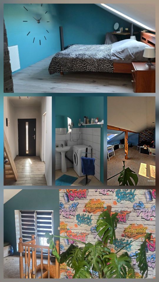 bliźniak Secemin. Zdjęcie 6