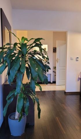 Mieszkanie 2-pokojowe Poznań Naramowice, ul. Czarna Rola. Zdjęcie 9