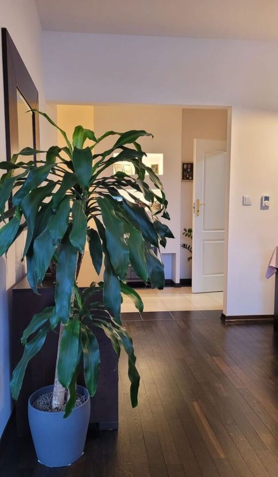 Mieszkanie 2-pokojowe Poznań Naramowice, ul. Czarna Rola. Zdjęcie 9