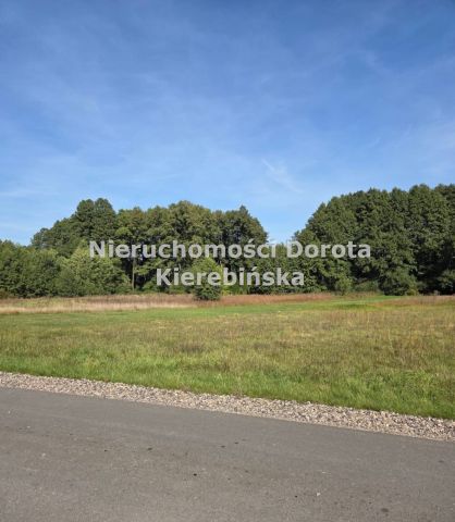 Działka budowlana Olszowiec. Zdjęcie 4