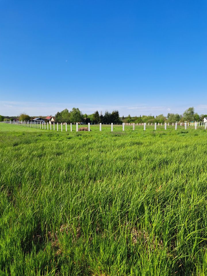 Działka budowlana Piwoda Hutki. Zdjęcie 12