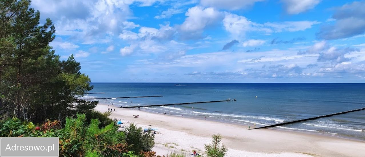 Działka rolna Objazda. Zdjęcie 2