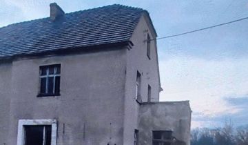 bliźniak Przejęsław
