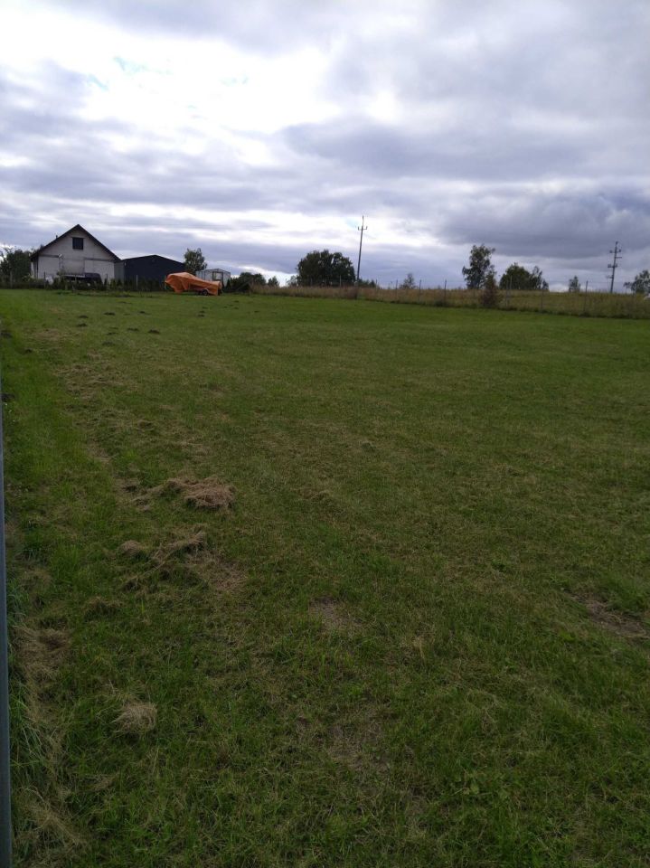 Działka budowlana Miłomłyn, ul. Wrzosowa. Zdjęcie 7