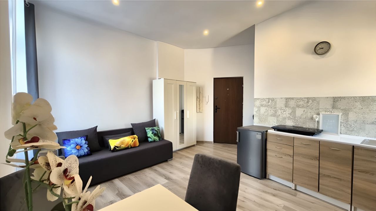 Mieszkanie 1-pokojowe Łódź Widzew, ul. Fabryczna. Zdjęcie 1