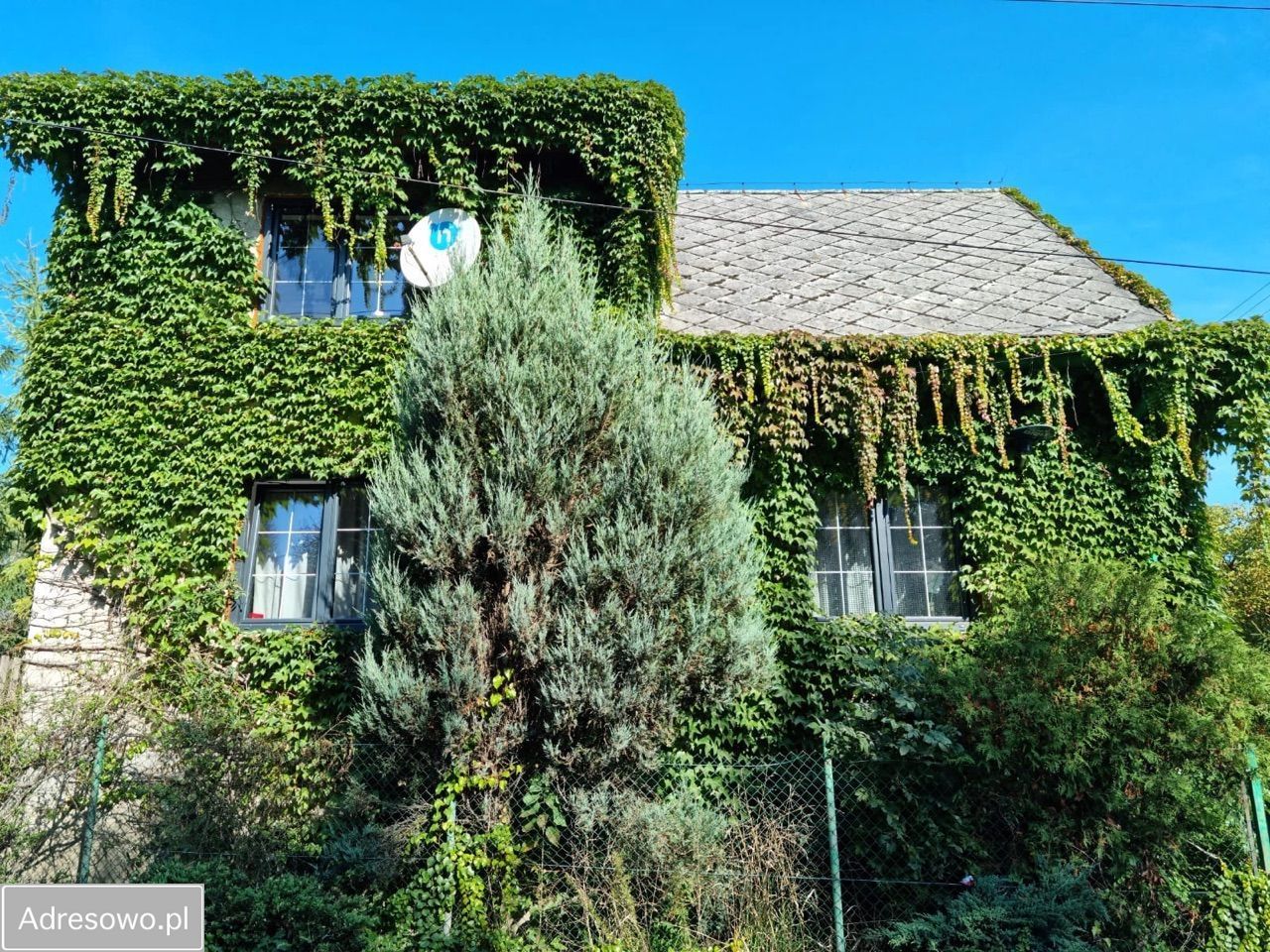 dom wolnostojący, 4 pokoje Radziechowy, ul. Maciejków