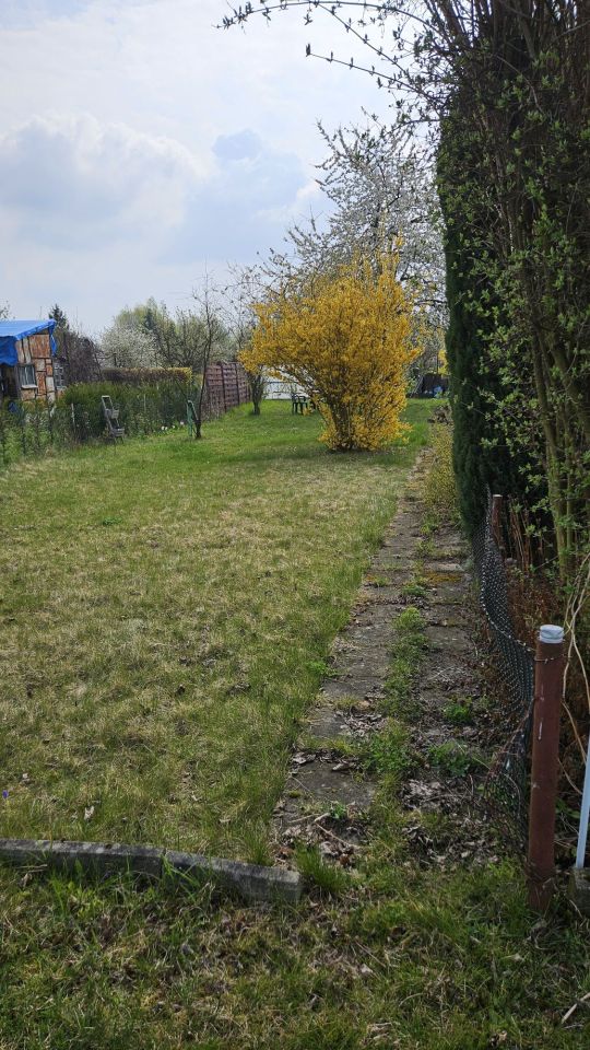 Działka rod Brzeg. Zdjęcie 5