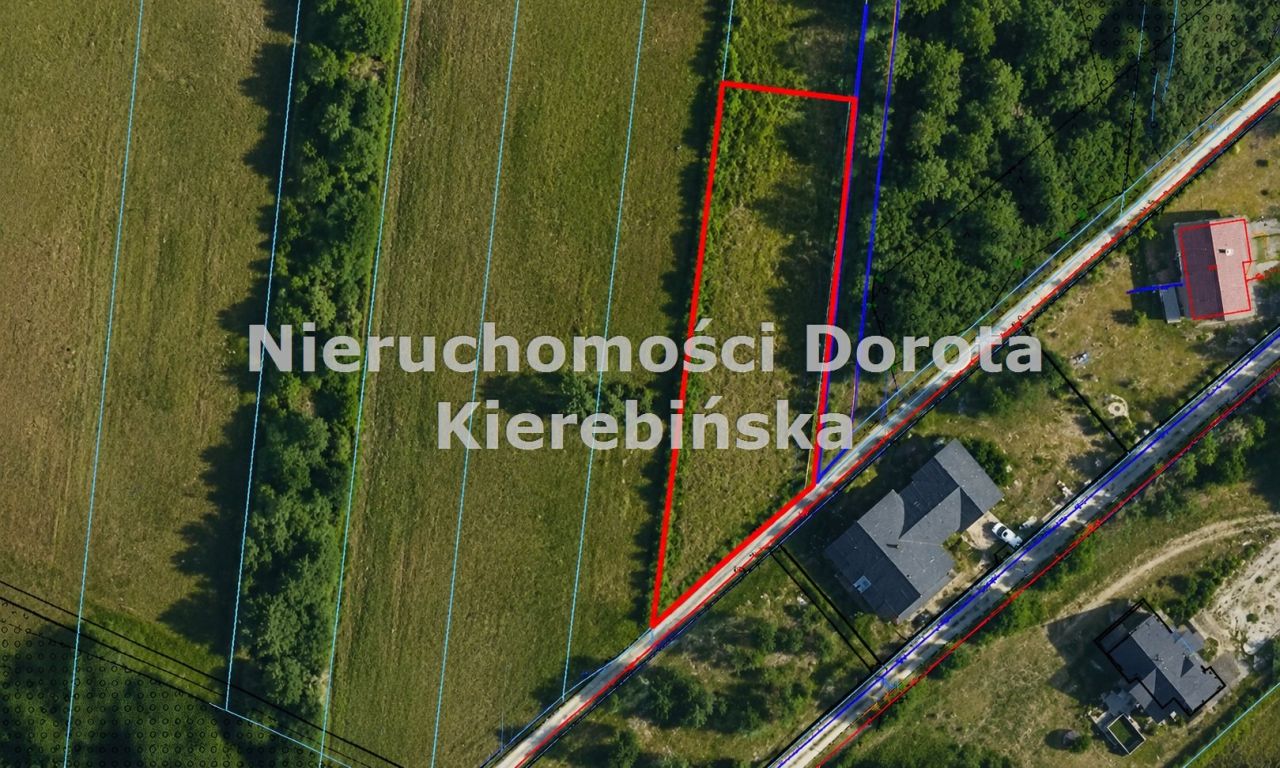 Działka rekreacyjna Królowa Wola. Zdjęcie 1