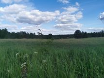 Działka rolno-budowlana Komorowo. Zdjęcie 3