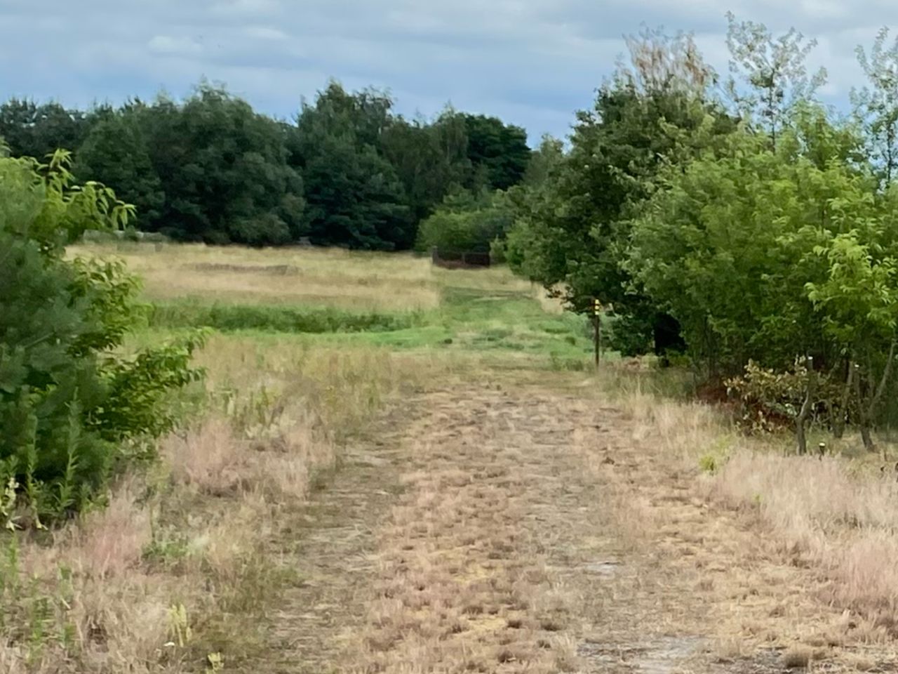 Działka rolno-budowlana Walendów, ul. Nad Utratą 156. Zdjęcie 2