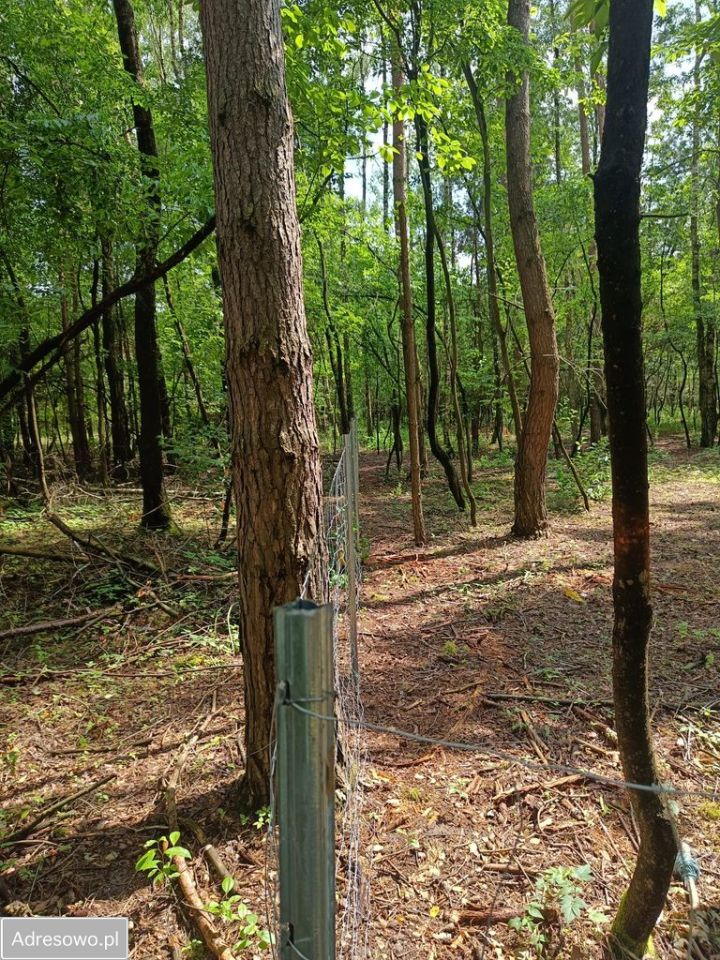 Działka budowlana Ostrowina. Zdjęcie 9