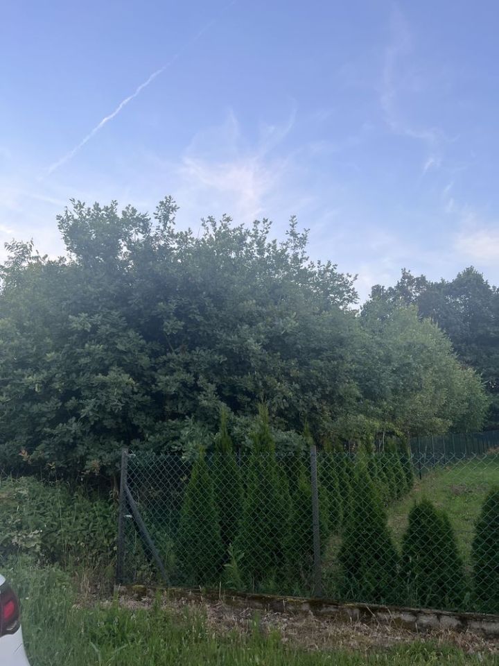 Działka budowlana Wypaleniska. Zdjęcie 3