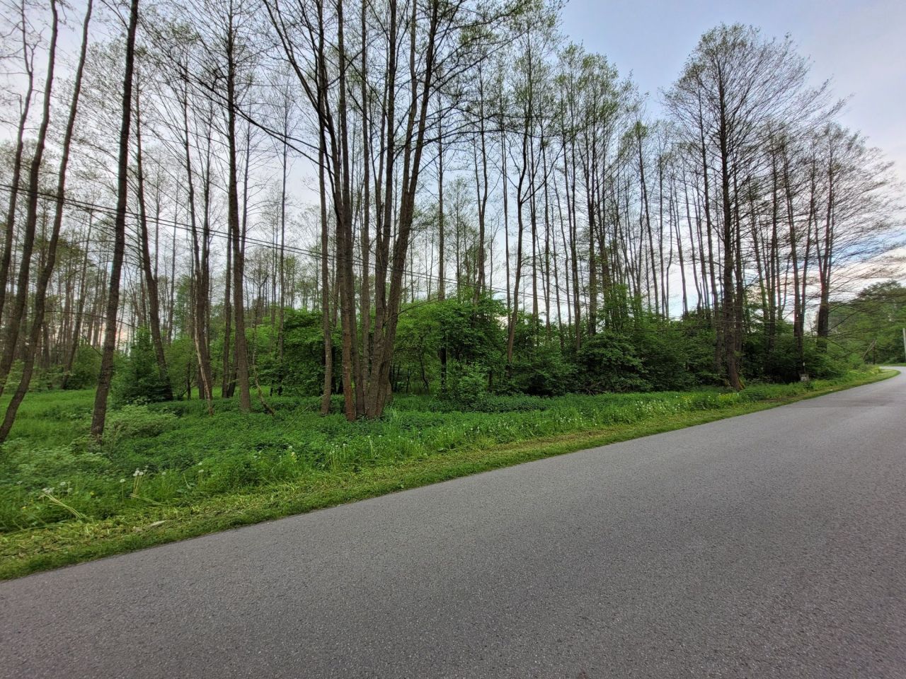 Działka budowlana Jarocin. Zdjęcie 8