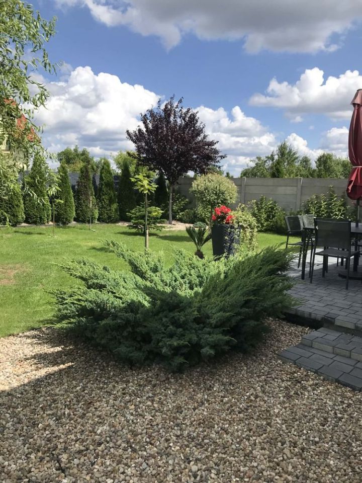 bliźniak Wielowieś. Zdjęcie 6