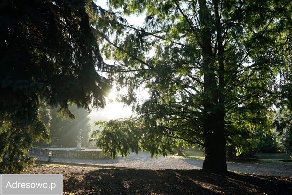 dom wolnostojący, 6 pokoi Czerna. Zdjęcie 8