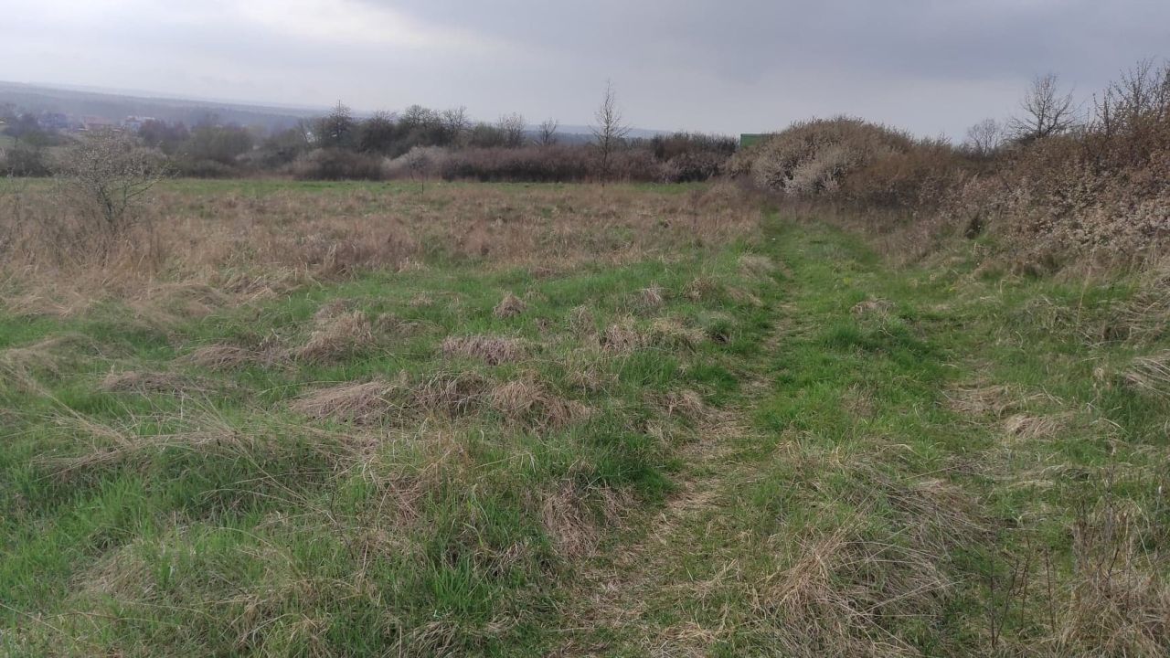 Działka rolna Myszków Nowa Wieś Żarecka, ul. Podgórna. Zdjęcie 3