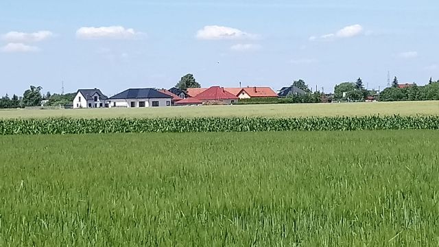 Działka budowlana Lipno, ul. Ogrodowa. Zdjęcie 1