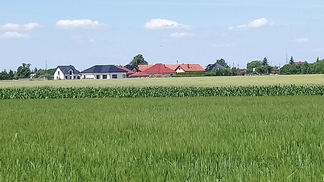 Działka budowlana Lipno, ul. Ogrodowa