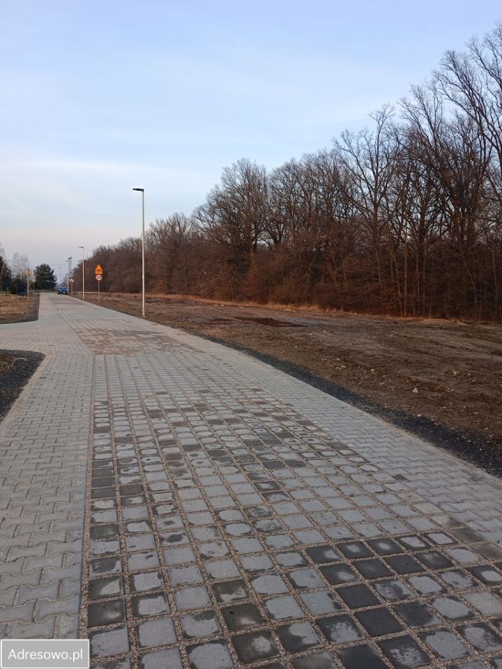 Działka rolno-budowlana Czerniec. Zdjęcie 2