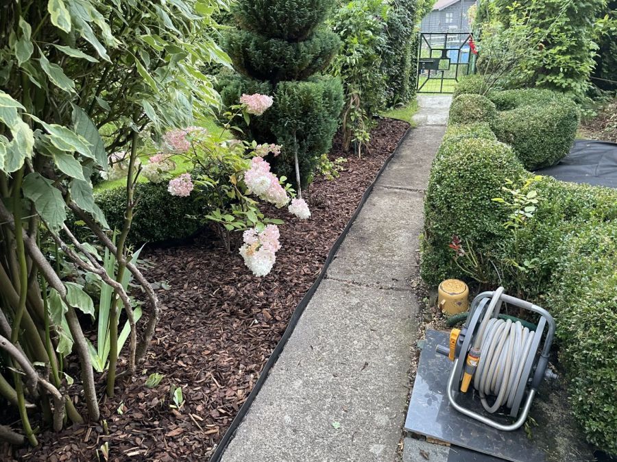 Działka rod Gdynia Cisowa, ul. Hutnicza. Zdjęcie 7