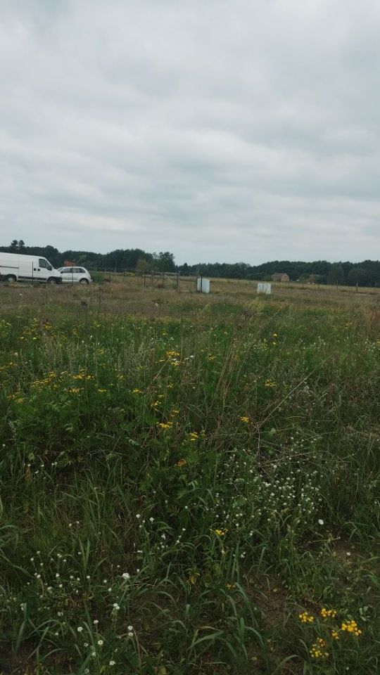 Działka budowlana Borek. Zdjęcie 5