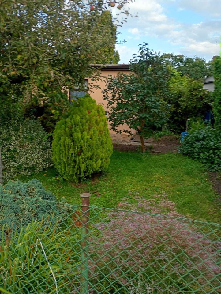 Działka rod Żnin. Zdjęcie 5