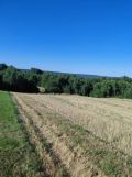 Działka rolno-budowlana Pępice. Zdjęcie 2