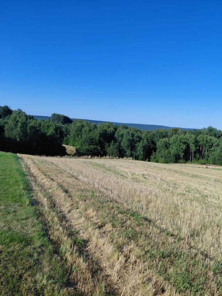 Działka rolno-budowlana Pępice. Zdjęcie 3