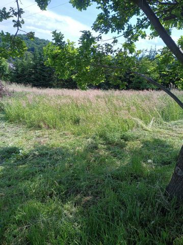 Działka budowlana Nowy Sącz, ul. Jodłowa. Zdjęcie 1