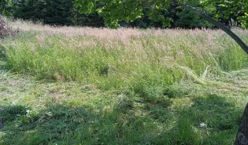Działka na sprzedaż bez pośredników          
          
            ul. Podbielowska          
          
            Nowy Sącz - More