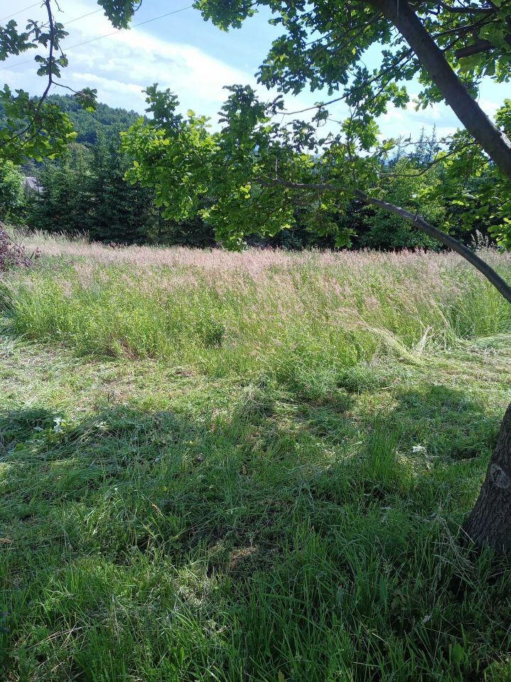 Działka budowlana Nowy Sącz, ul. Jodłowa