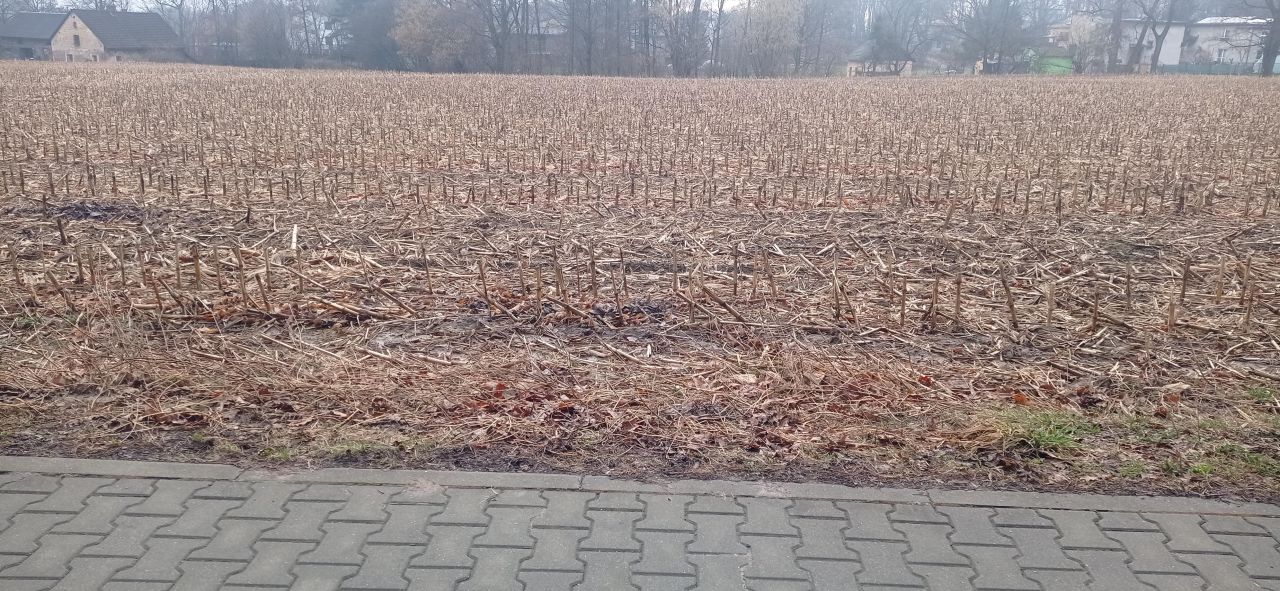 Działka budowlana Rudołtowice, ul. Wincentego Witosa. Zdjęcie 7